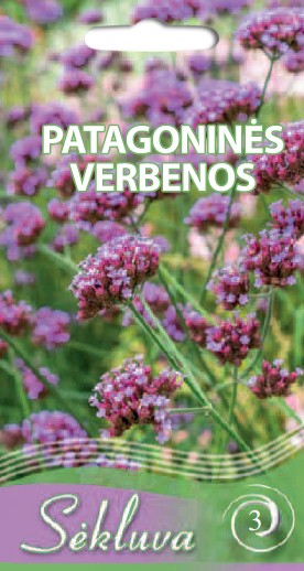 Patagoninės verbenos (3 grupė)