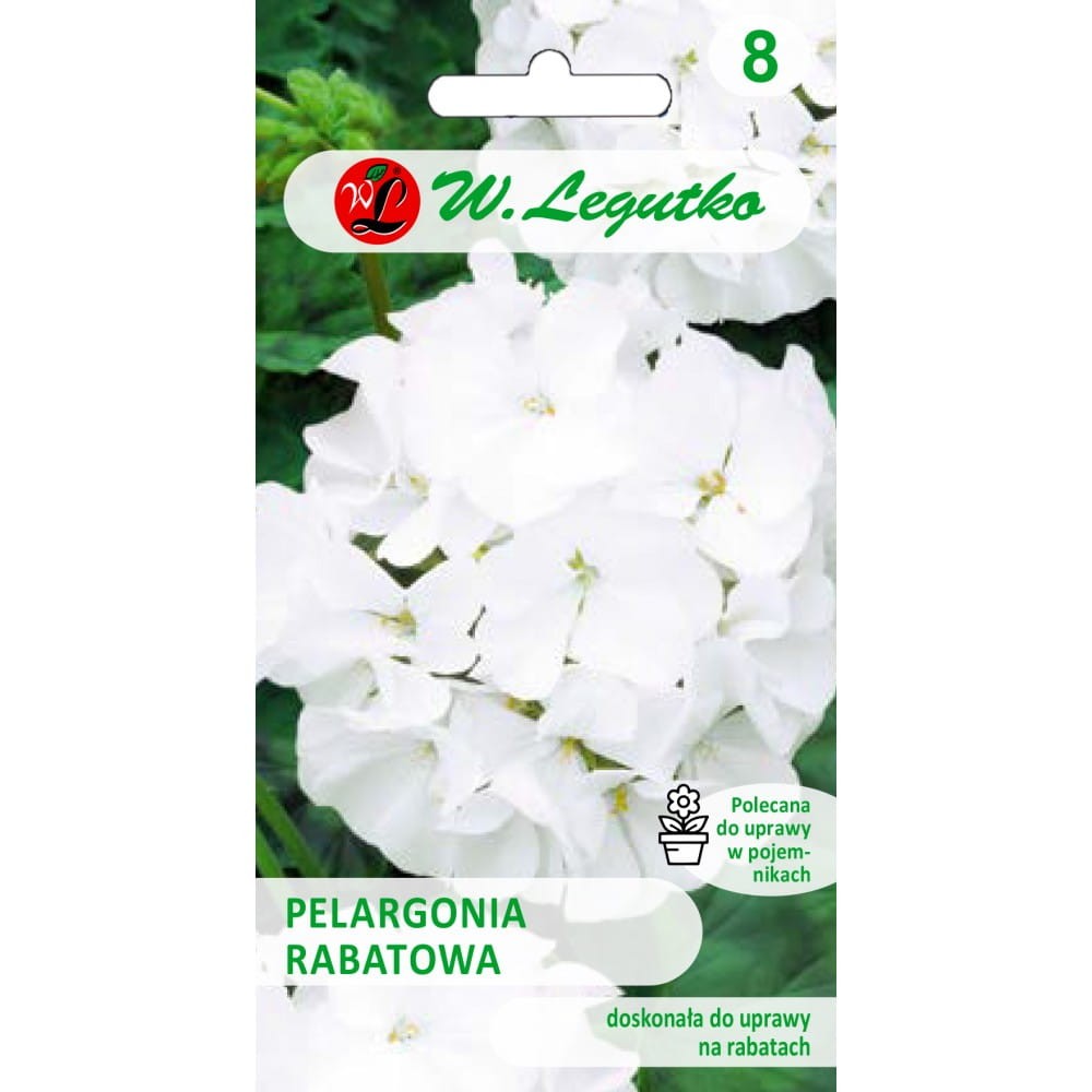 Pelargonijos darželinės (baltos)