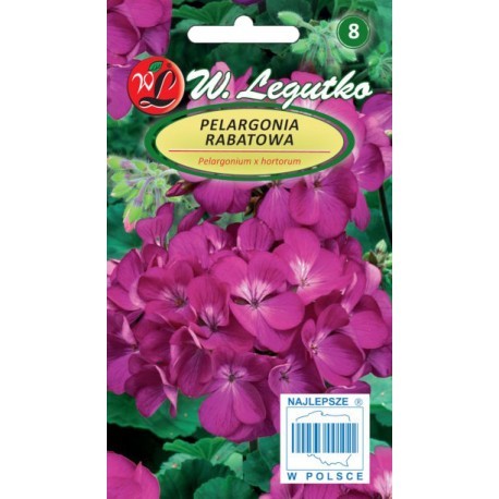 Pelargonijos darželinės (violetinės)