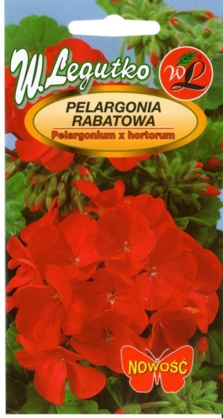 Pelargonijos darželinės (raudonos)