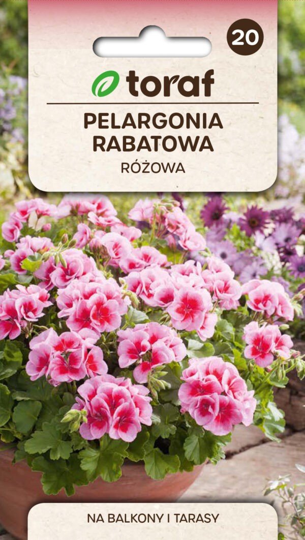 Pelargonijos darželinės (rožinės)