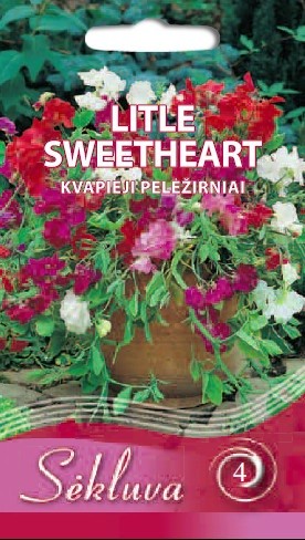 Pelėžirniai kvapieji Litle Sweeheart (4 grupė)