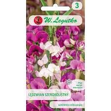 Pelėžirniai plačialapiai Everlasting (mišinys) 2g