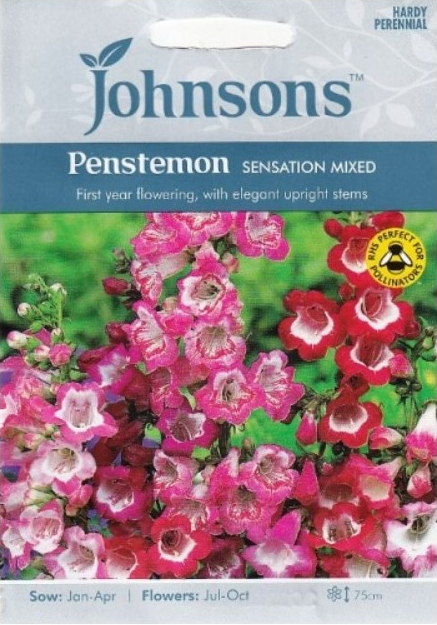 Penstemonai pilkažiedžiai Sensation (mišinys) 500s