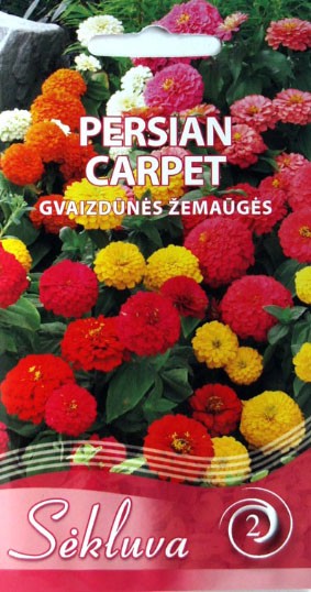 Gvaizdūnės žemaūgės Persian Carpet (2 grupė)