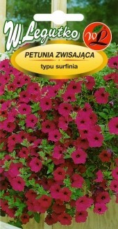 Petunijos svyrančios Rubina