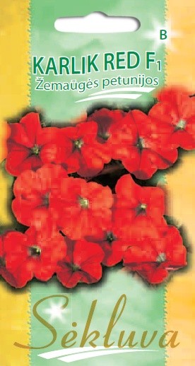 Petunijos Karlik Red F (B grupė)