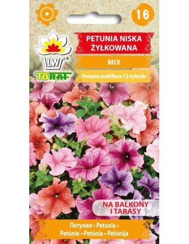 Petunijos daugiažiedės (mišinys)