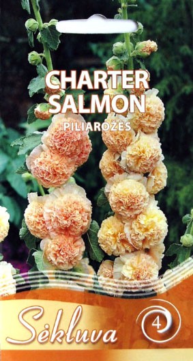 Piliarožės Charter Salmon (4 grupė)