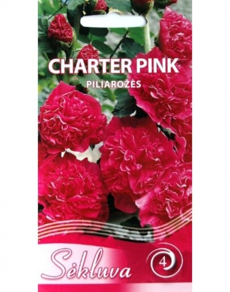 Piliarožės Charter Pink (4 grupė)