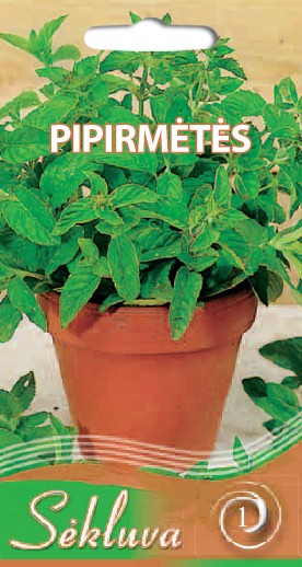 Pipirmėtės (1 grupė)
