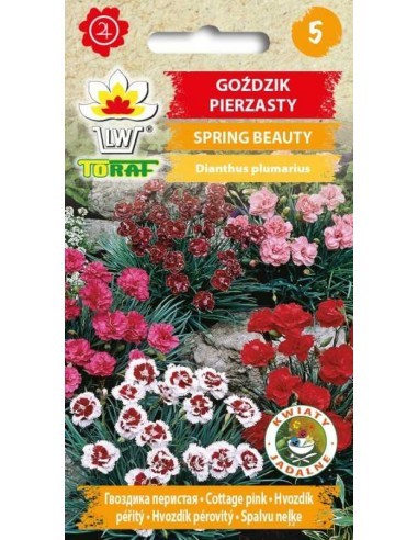 Gvazdikai plunksniniai Spring Beauty (mišinys)