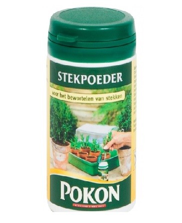 Pokon įsišaknijimo hormonai 25g