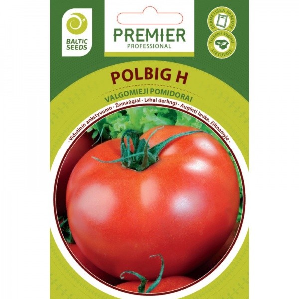 Pomidorai žemaūgiai Polbig H