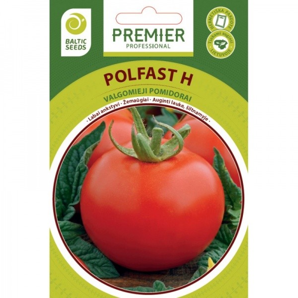 Pomidorai žemaūgiai Polfast H