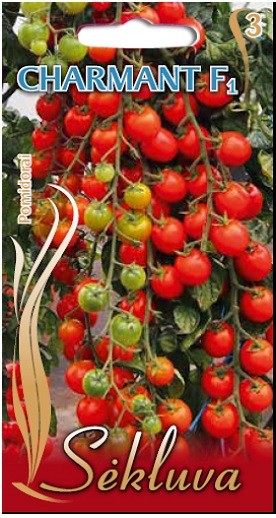 Pomidorai Charmant F1 10s (3 grupė)