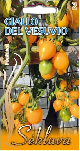 Pomidorai Giallo Del Vesuvio (2 grupė)