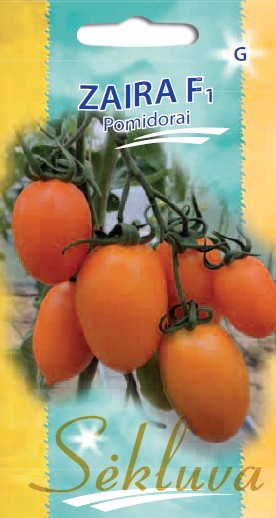 Pomidorai Zaira (G grupė)