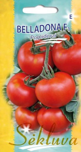 Pomidorai Belladona F1 (E grupė)