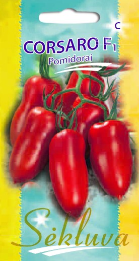 Pomidorai Corsaro (C grupė)