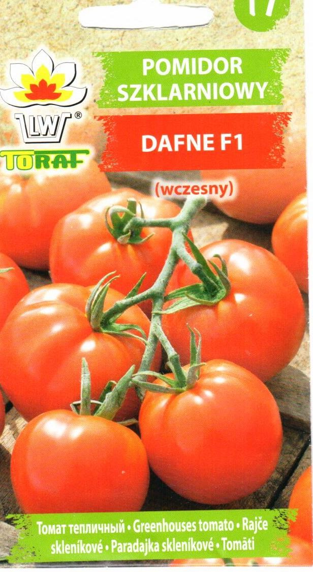 Pomidorai Dafne F1