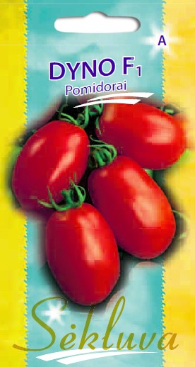 Pomidorai Dyno (A grupė)