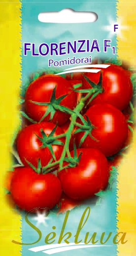 Pomidorai Florenzia (F grupė)