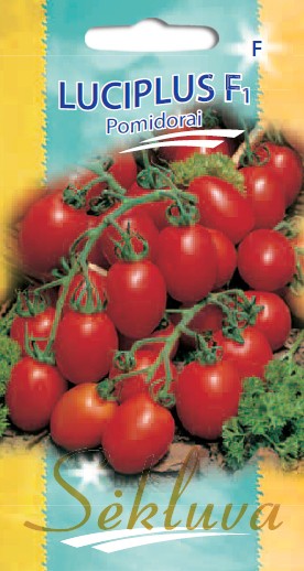 Pomidorai Luciplus F1 (F grupė) 10s