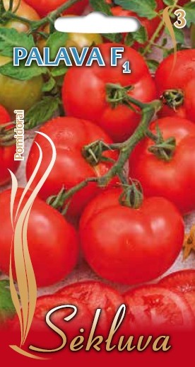 Pomidorai Palava (3 grupė)