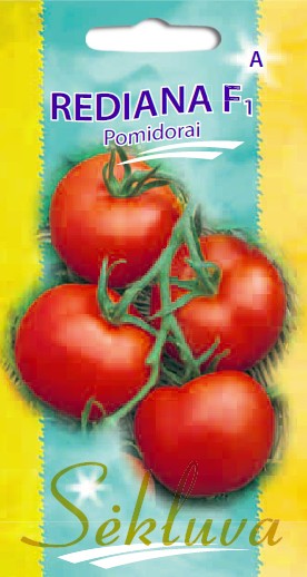 Pomidorai Rediana (A grupė)