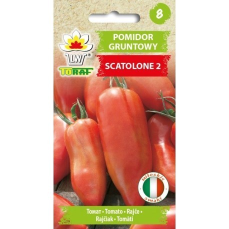 Pomidorai Scatolone 2