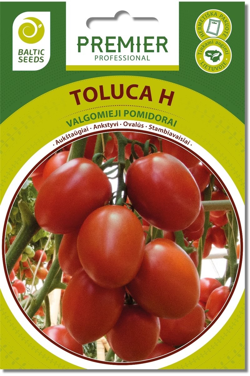 Pomidorai aukštaūgiai ankstyvi Toluca H 8s