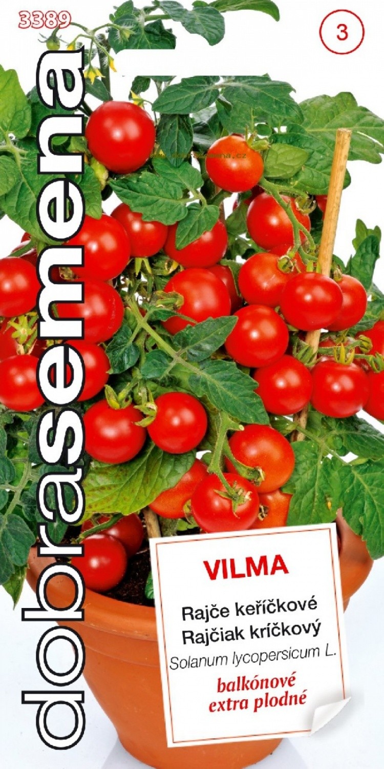 Pomidorai Vilma