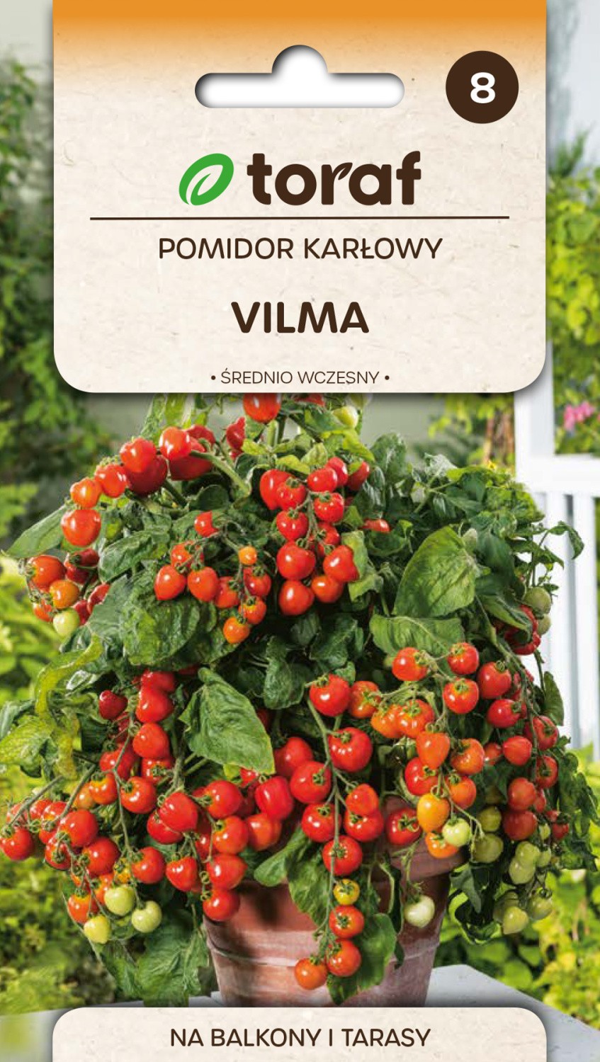 Pomidorai žemaūgiai Vilma 50s