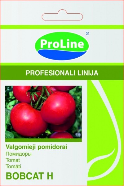 Pomidorai Bobcat H 10s