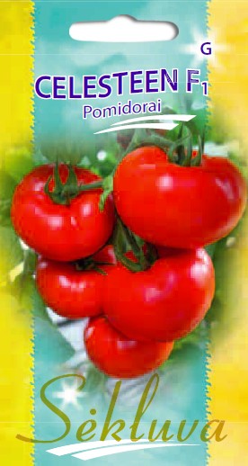 Pomidorai Celesteen F1 (G grupė)