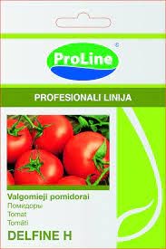 Pomidorai Delfine H 10s