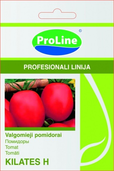 Pomidorai Kilates H 10s