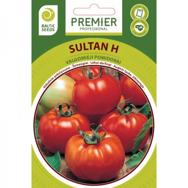 Pomidorai žemaūgiai Sultan H