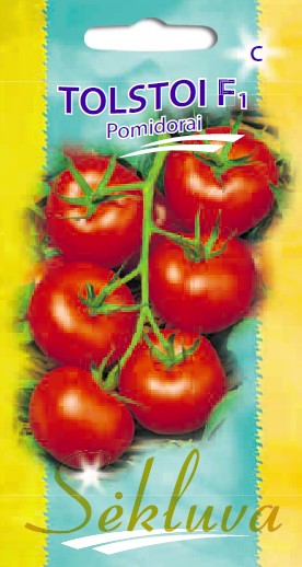 Pomidorai Tolstoi (C grupė)