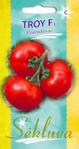 Pomidorai Troy (C grupė)