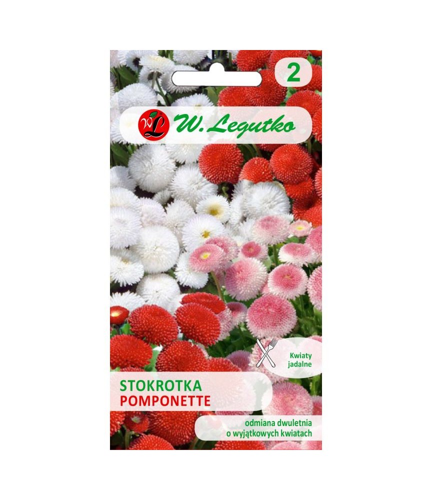 Saulutės daugiametės Pomponette