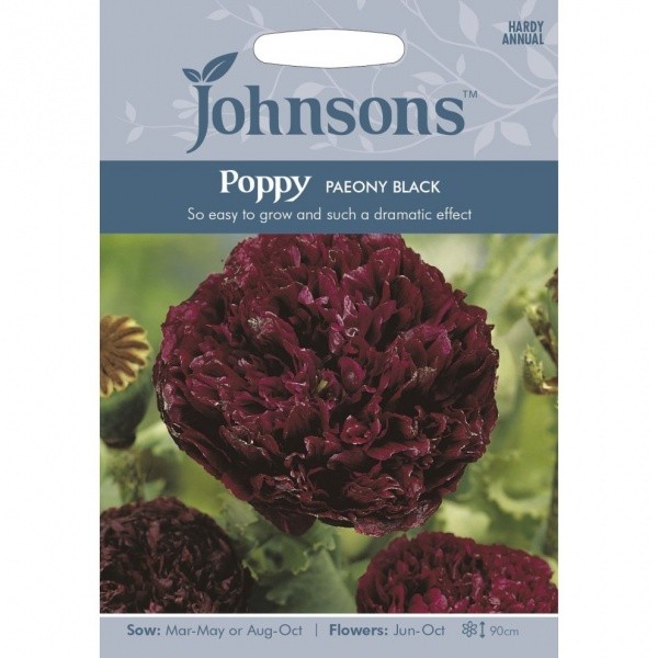 Aguonos daržinės Paeony Black