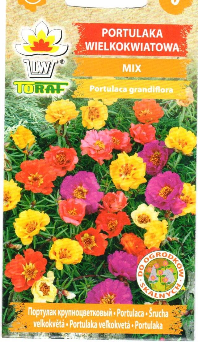 Portulakos didžiažiedės (mišinys)
