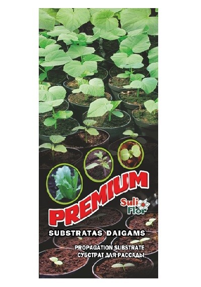 Substratas daigams Premium 20L S