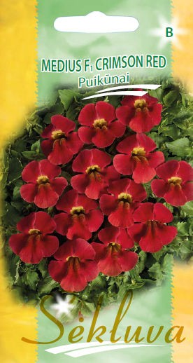 Puikūnai darželiniai Crimson Red (B grupė)