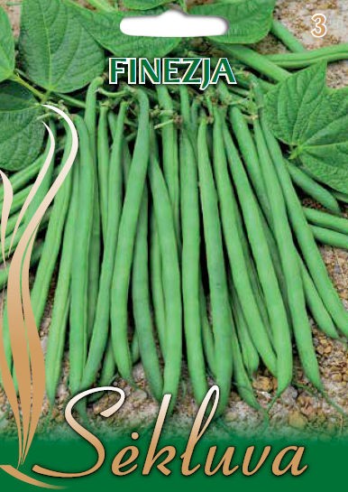 Pupelės žemaugės Finezija (3 grupė)