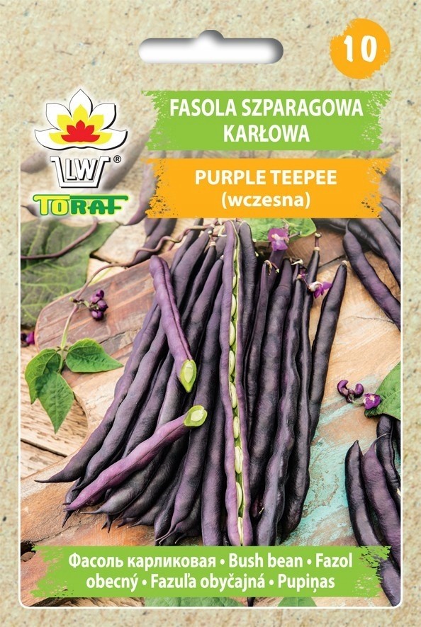Pupelės daržinės žemaūgės Purple Teepee