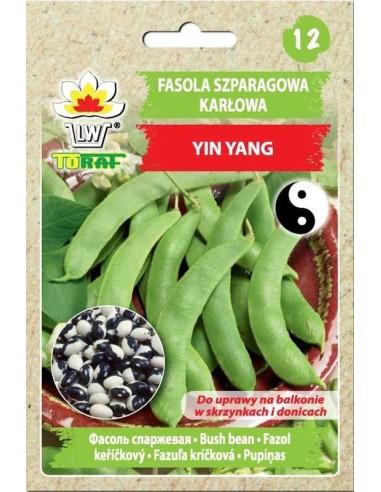 Pupelės daržinės žemaūgės Yin Yang