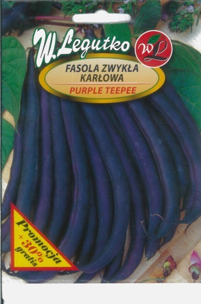 Pupelės žemaūgės Purple Teepee